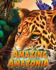 Amazing Amazonia