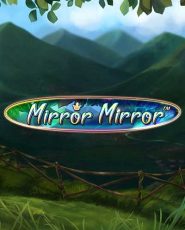 Mirror-Mirror 400 x 500