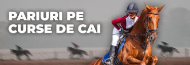 Curse de cai – Unul dintre cele mai prestigioase sporturi