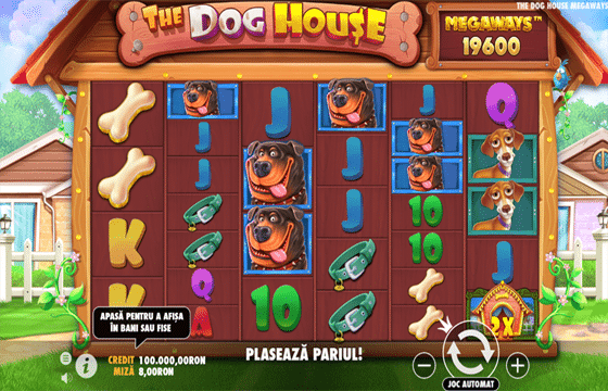 the dog house betano jocuri