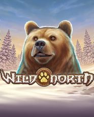 wild north