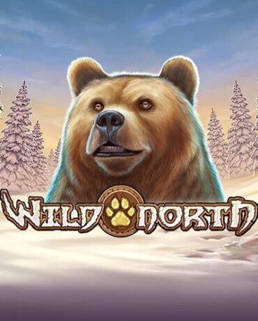 wild north