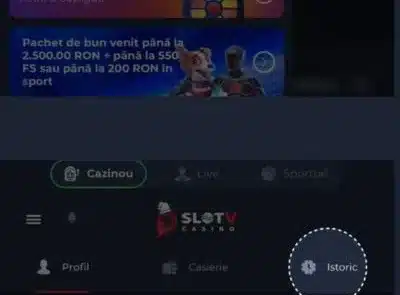 istoric tranzactii slotv
