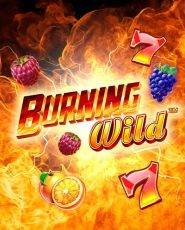 Burning Wild slot gratis
