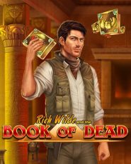 joacă aici book of dead demo