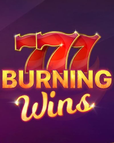 slot burning wins demo