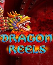 Joacă Dragon Reels demo acum
