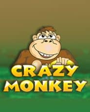 crazy monkey demo