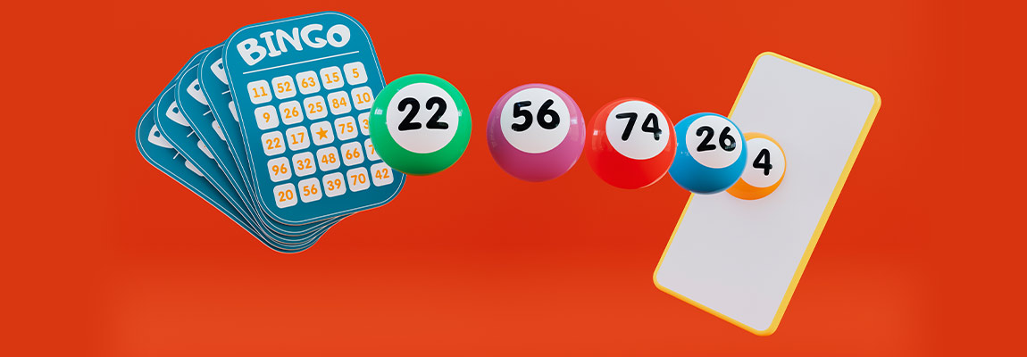 cum se joaca bingo
