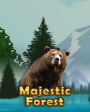 Majestic Forest demo