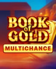 Book of Gold Multichance demo