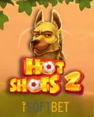 Hot Shots 2