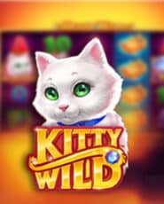 kitty wild demo