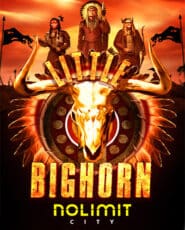 Little Bighorn demo