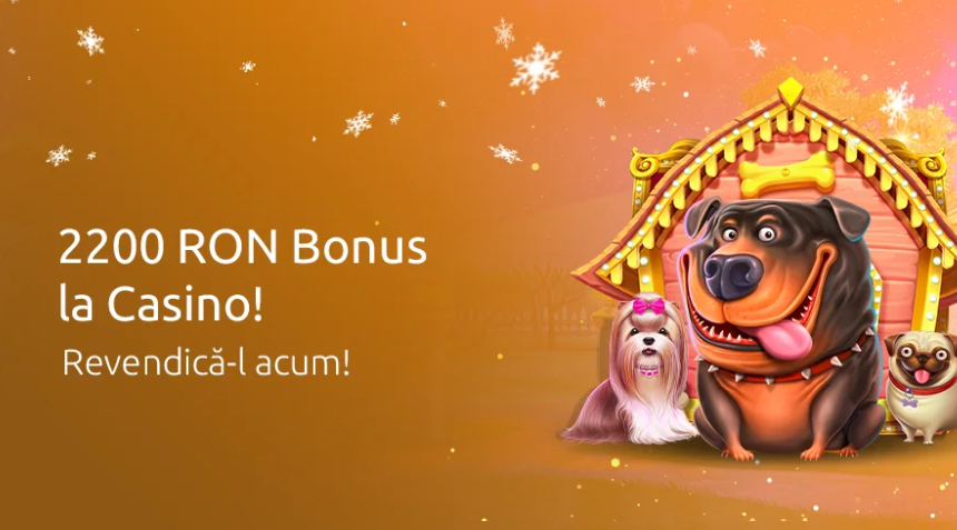bonus 12xbet casino