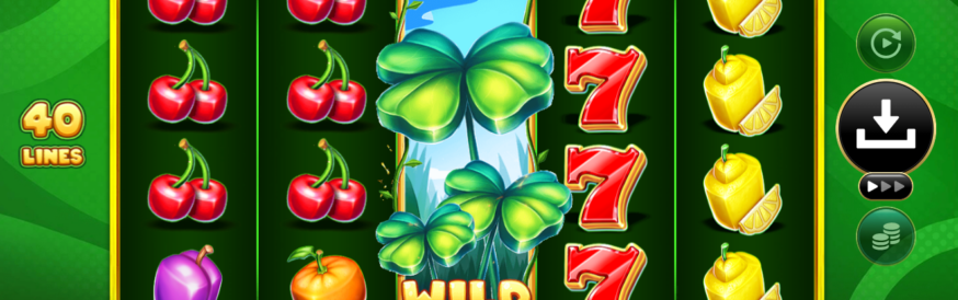 40 bulky fruits