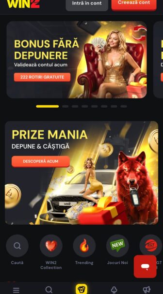 jocuri si interfata aplicatie win2