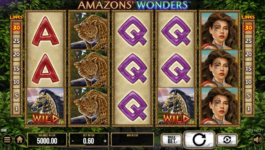 grila de joc la amazons wonders